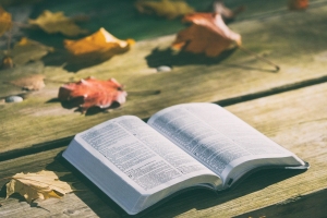Thoughts on the Missionary Call, Part II